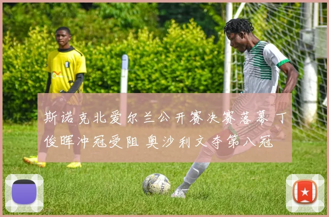 斯诺克北爱尔兰公开赛决赛落幕 丁俊晖冲冠受阻 奥沙利文夺第八冠