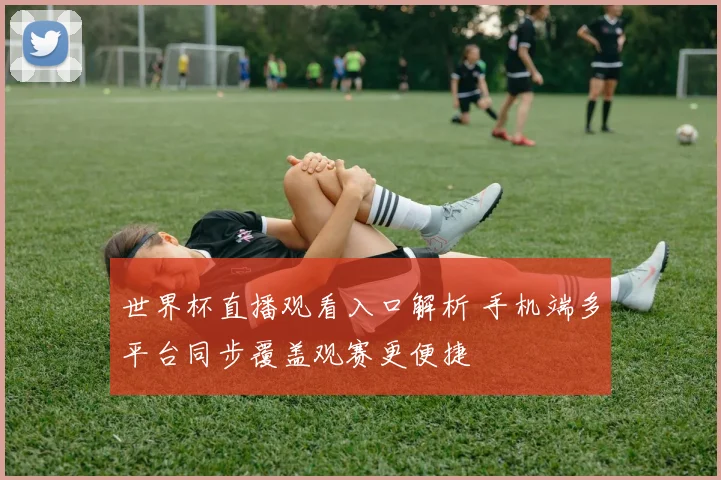 世界杯直播观看入口解析 手机端多平台同步覆盖观赛更便捷